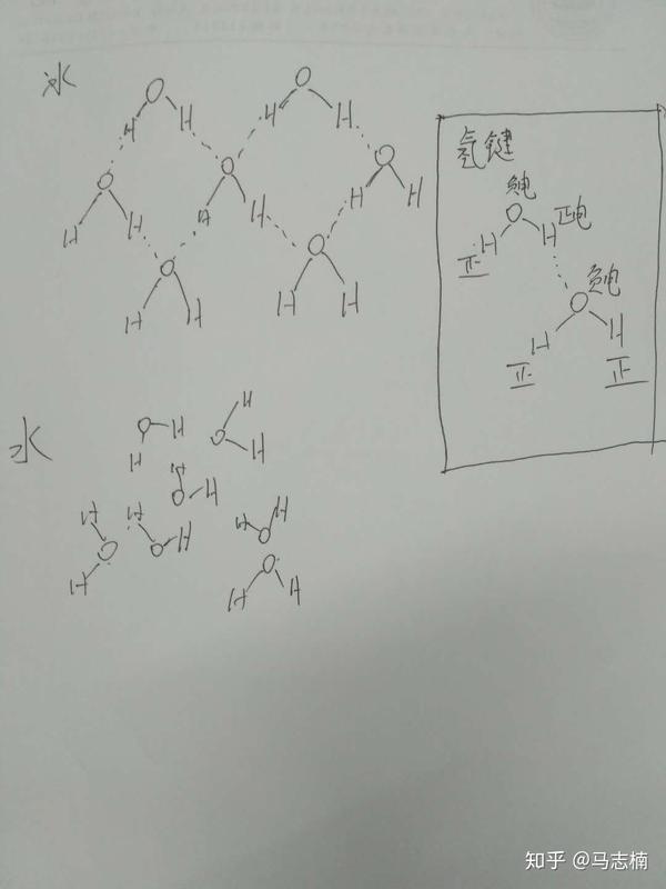 氢键手绘示意图 水之氢键 物所存凡三态,散之为气,气