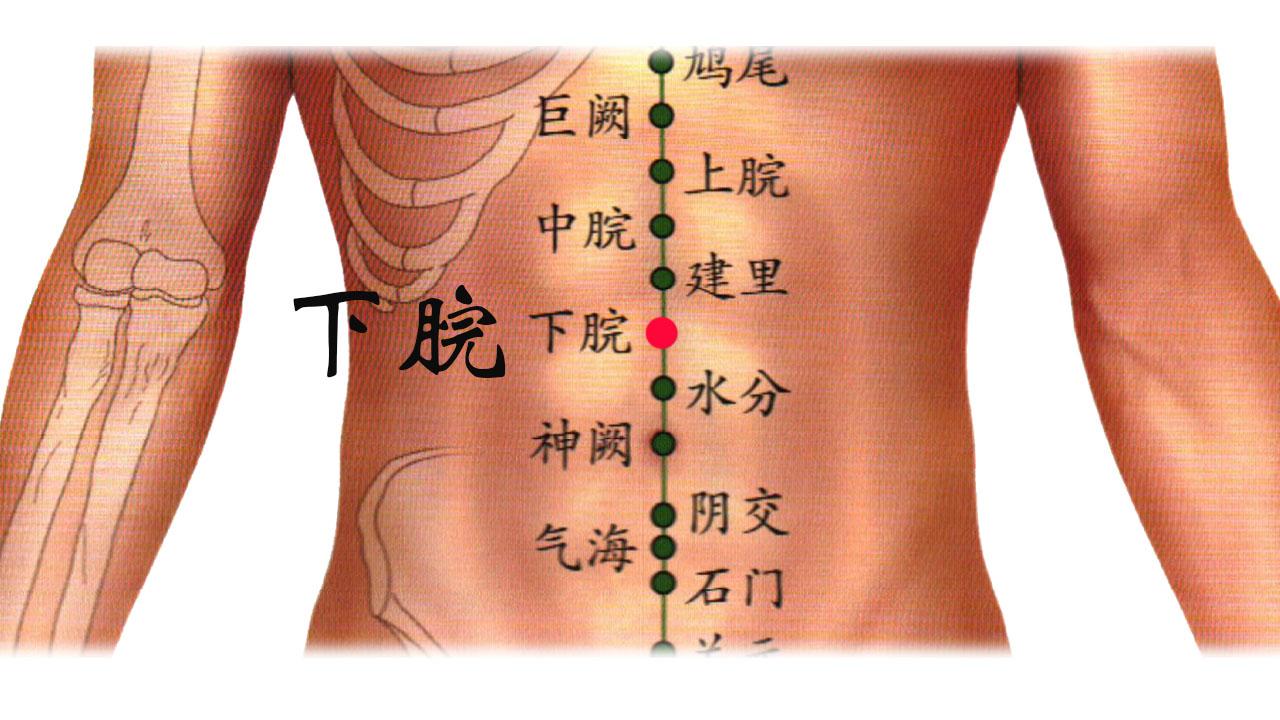 5 寸.关元:在下腹部,前正中线上,当脐中下 3 寸.