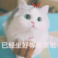 女生专用表情包大曝光.