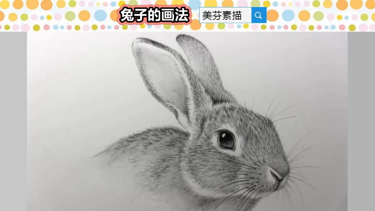 教你画素描兔子,先分析起形,起形可以用几何形状概括的方法.