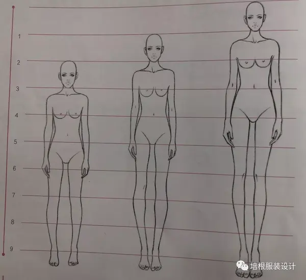 服装设计图的人体比例技巧