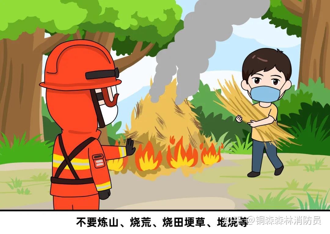 森林消防员培训森林防火指南