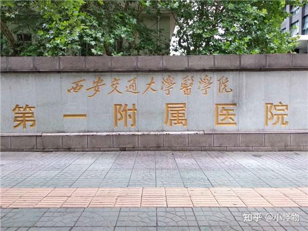 西安交通大学第一附属医院 整形美容·颌面外科