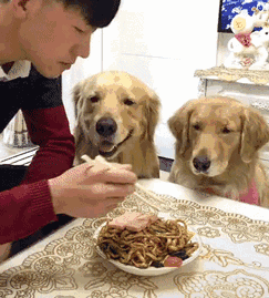 243_269gif 动态图 动图