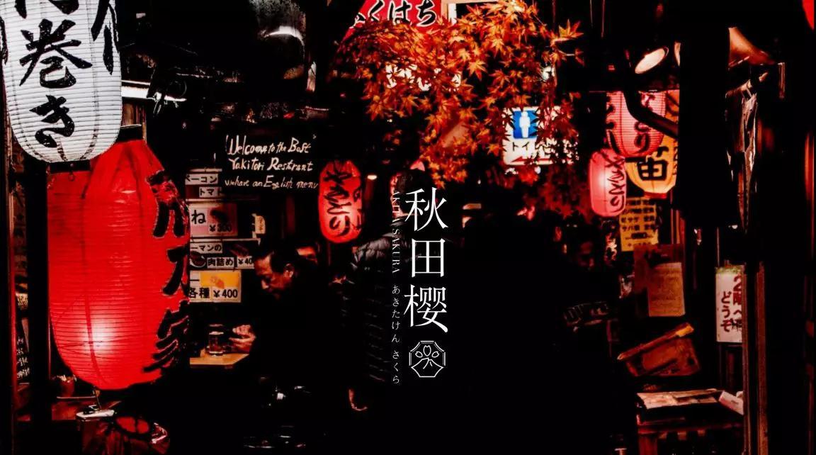 秋田樱 日式情调居酒屋