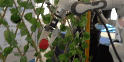 中国人民的种菜热情,已经传染给了机器人