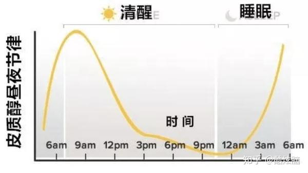 皮质醇的昼夜节律   wikipedia