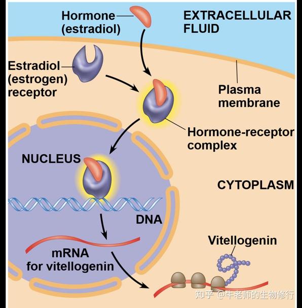 再见cellsignaling