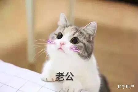 有什么适用于和老公/男票撒娇的可爱表情包?
