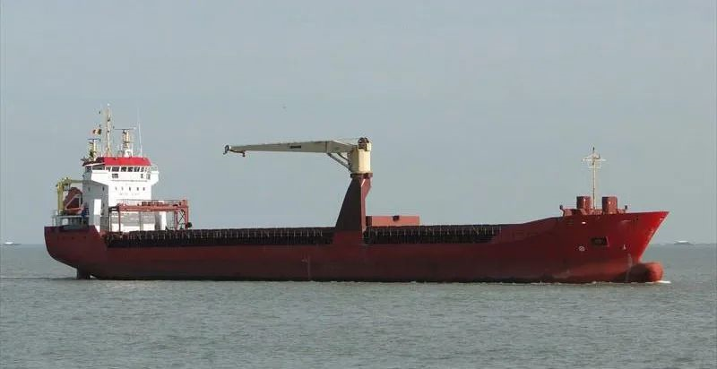 海运在线:今年600多艘干散货船易手 这两种船最抢手