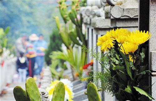 从代客扫墓到祭祀直播你听说过吗