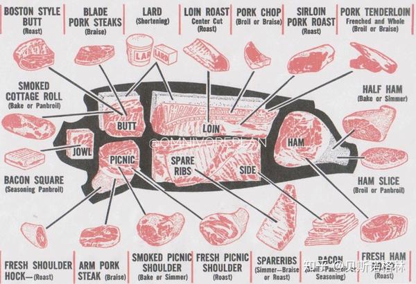 图1,猪肉部位分布图