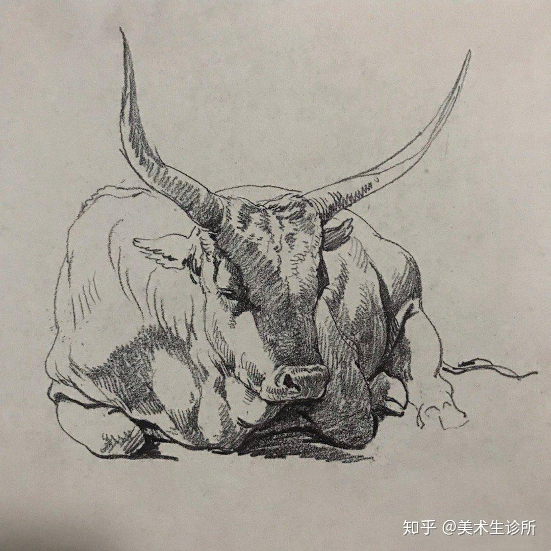 动物素描速写合集收藏起来慢慢画