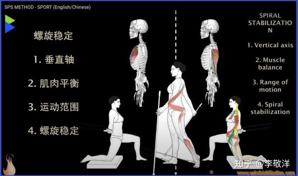 sps螺旋肌肉链可以帮助到我们什么?