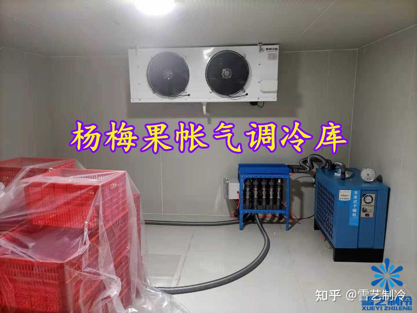 江西九江杨梅基地新型果帐气调冷库水果保鲜冷库储存一般分为4类:普通