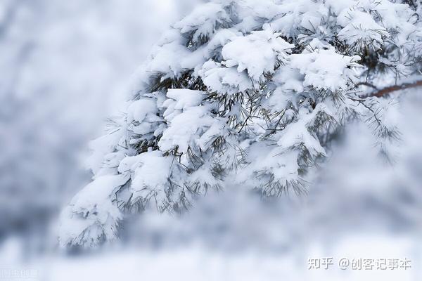 大雪压青松!生活更轻松!今天是大雪节气大雪进补开春如虎