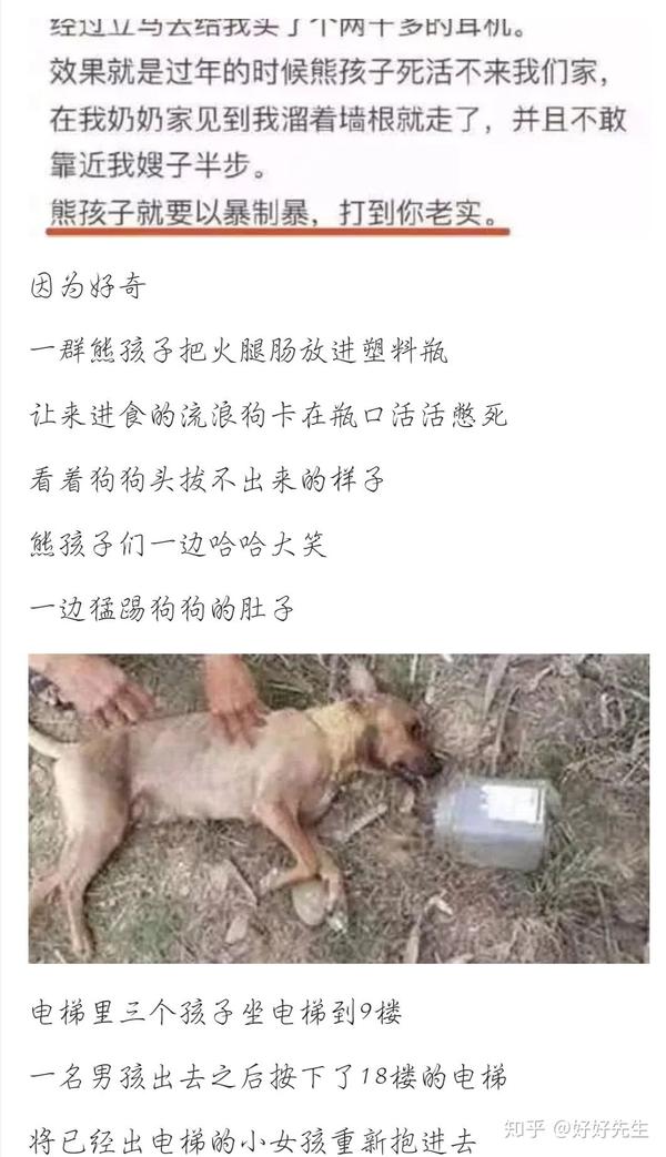 他还是个孩子(熊孩子),打死就好