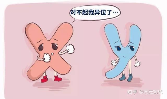 男女双方染色体正常为什么胎儿染色体异常彩虹奶爸