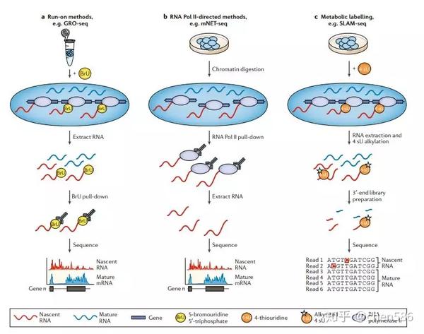 nature重磅综述|关于rna-seq,你想知道的都在这