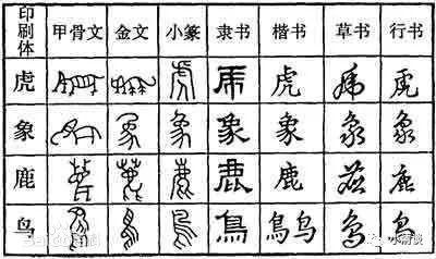在汉字的演变过程中,能算得上象形文字的也就是甲骨文和金文,后面的几