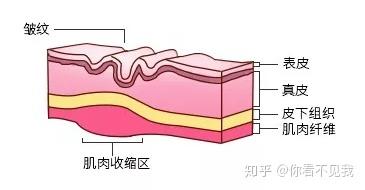 让你年龄成谜的除皱针的效果