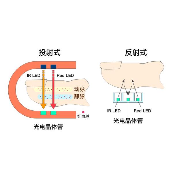 指夹式血氧仪的工作原理