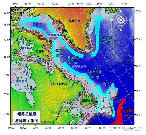 纽芬兰岛与大浅滩的鳕鱼