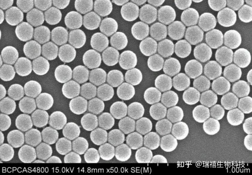 二氧化硅包裹磁性纳米颗粒SPION SiO2 NPs 氨基官能化介孔二氧化硅NH2 SiO2 知乎