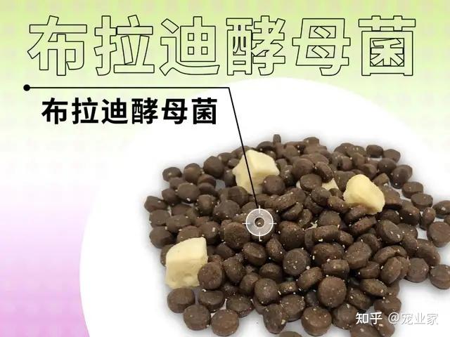 3 种益生菌   3 种酶  3 大益生元1,布拉迪酵母菌   枯草芽孢杆菌