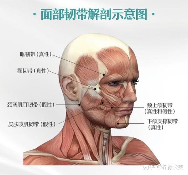 热玛吉&fotona4d pro谁是法令纹的天敌?