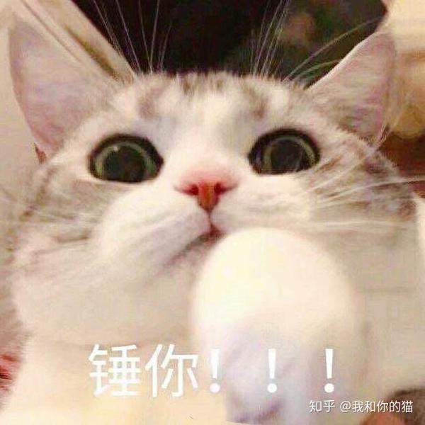 有没有适合热恋情侣互相撒娇的表情包!