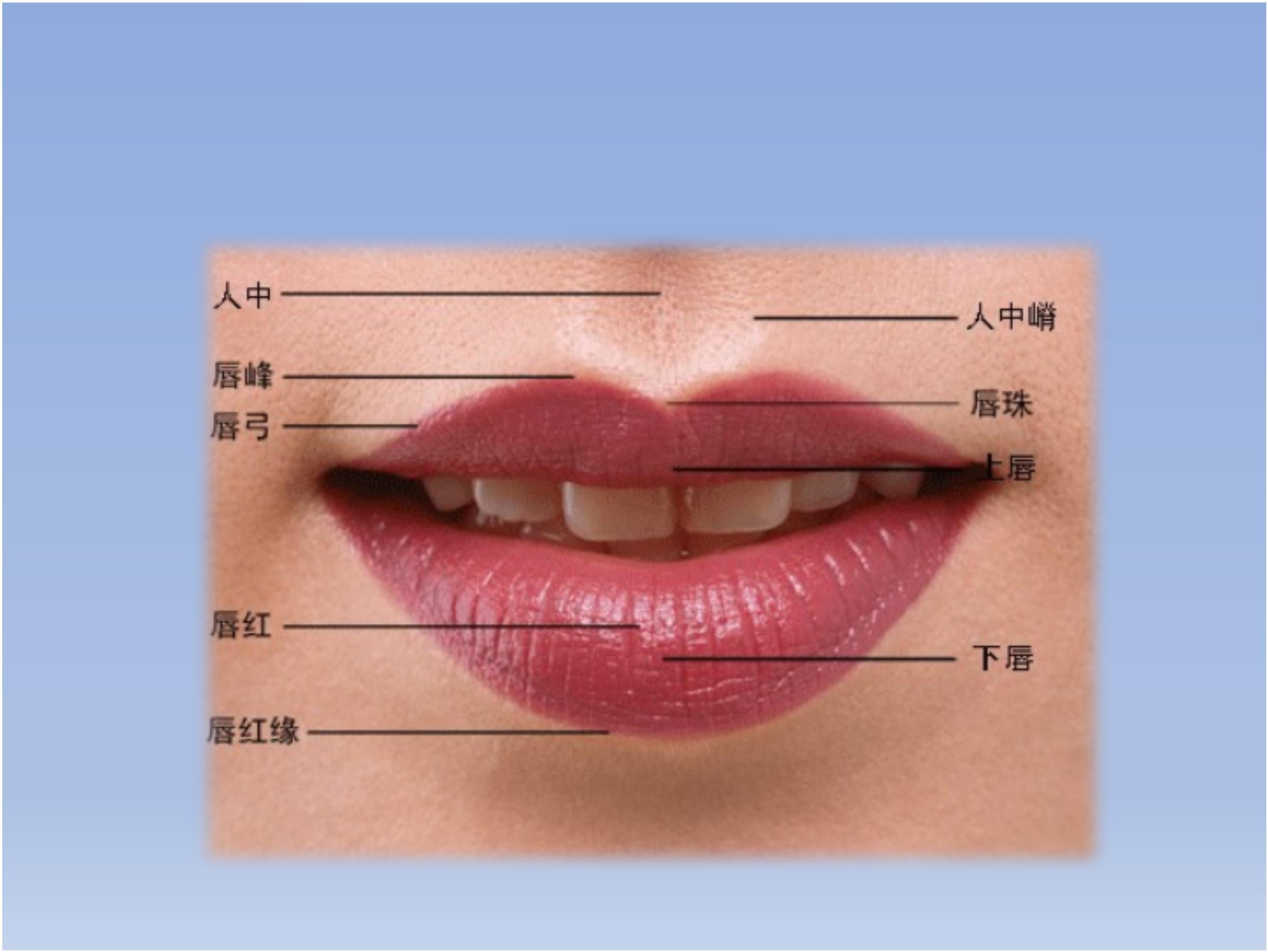 唇的生理解剖结构1 唇部解剖结构介绍2 隆唇术手术方法3 术后护理与