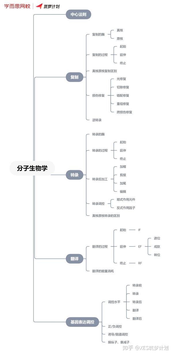 02知识框架图