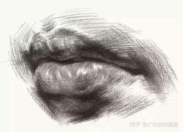 素描头像五官不知如何下手?画好素描头像的方法在这里