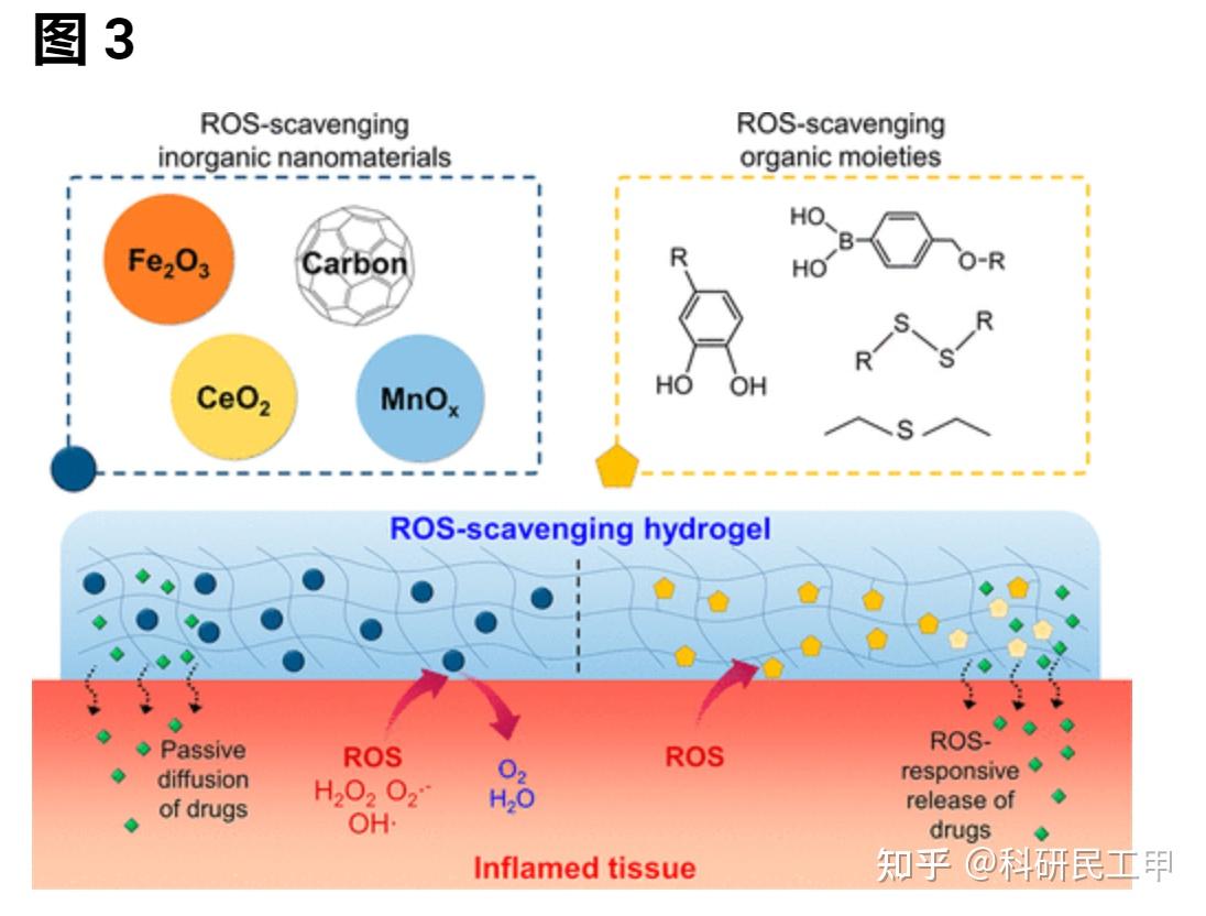 ros-清除水凝胶用于治疗炎症相关疾病