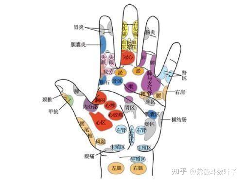 手诊"望手察病 知乎