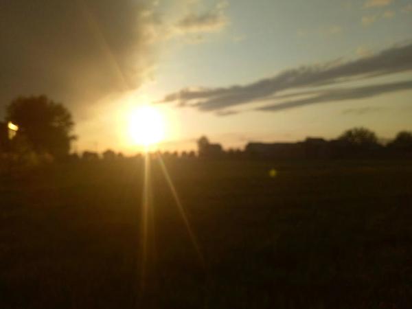 夕阳西下,物是人非.触景生情,可悲!可悲!