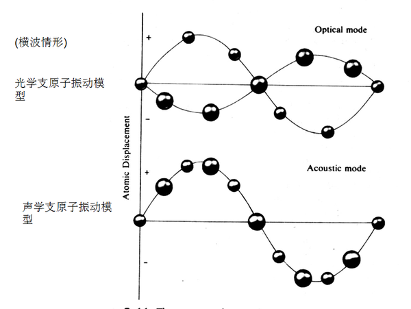 晶格动力学2—一维双原子链