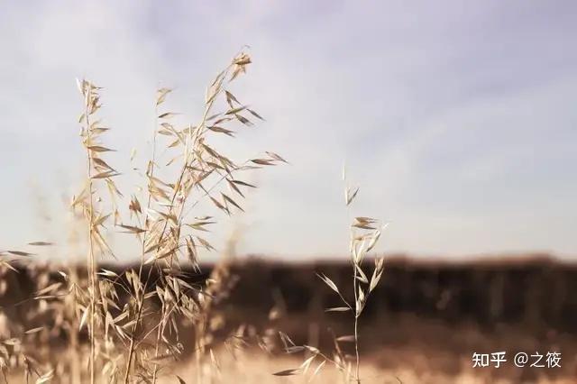 初中物理试讲教案模板_高中物理试讲教案模板_初中数学试讲教案模板