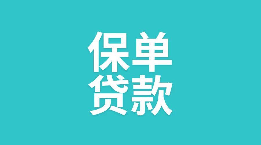 保单贷款最全解读,不懂这些你就亏了