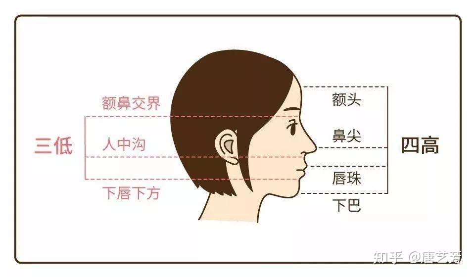 解释下,整个侧面轮廓有四个高点,三个最低点,鼻尖是属于面部轮廓中的