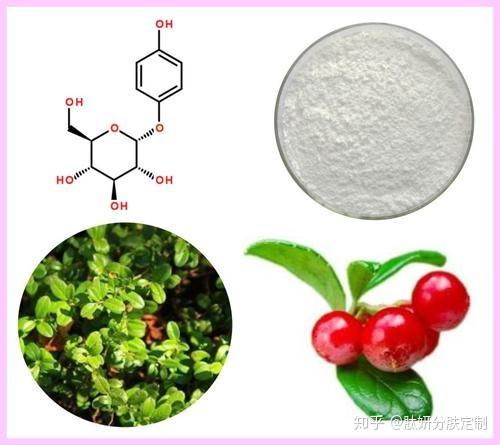 美白成分维生素c熊果苷九肽1