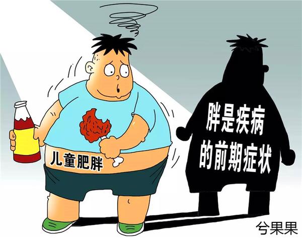 肥胖的真正原因?看看你被骗了多少年?