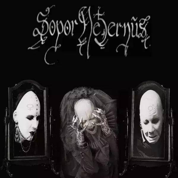 一个暗潮乐队,不敢轻易推荐 —— sopor ternus & the ensemble of