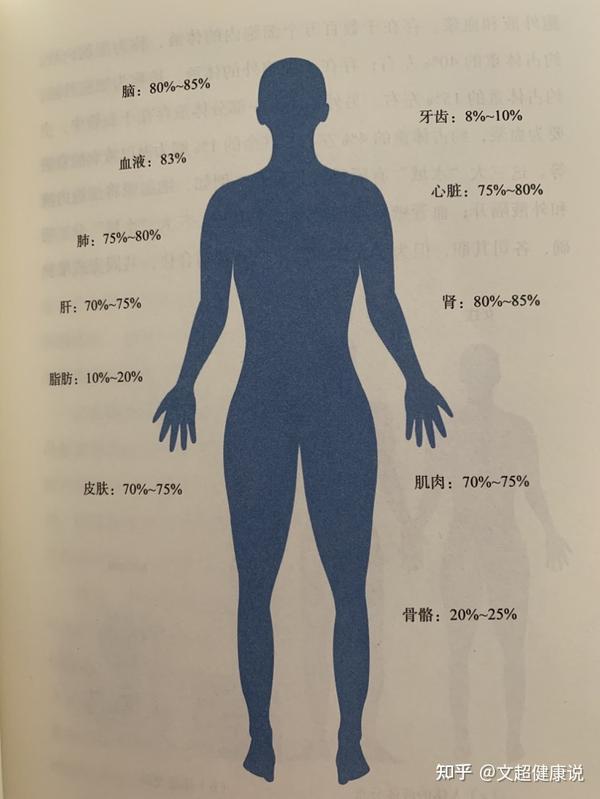 成年人体内所含水分约占体重的60-70% ;年龄越小,体内所含水分的