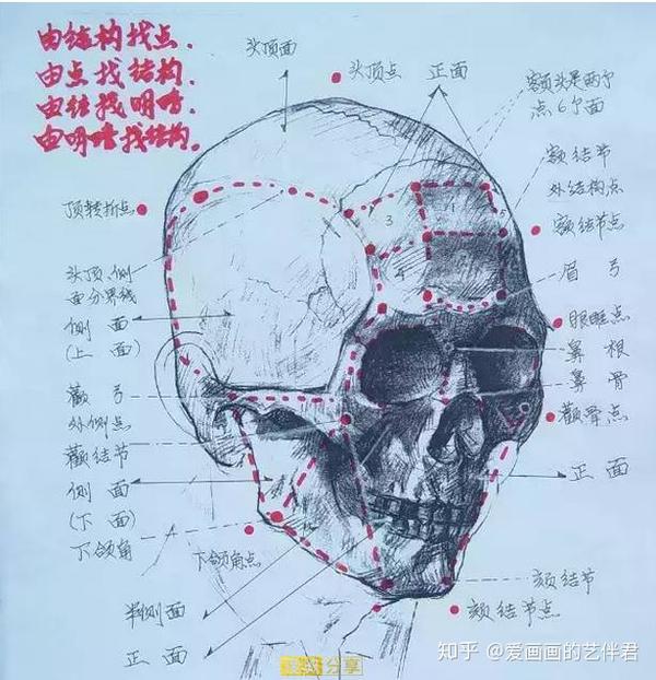 [艺伴美术] 作为美术生结构弄不明白是绝不能忍受的