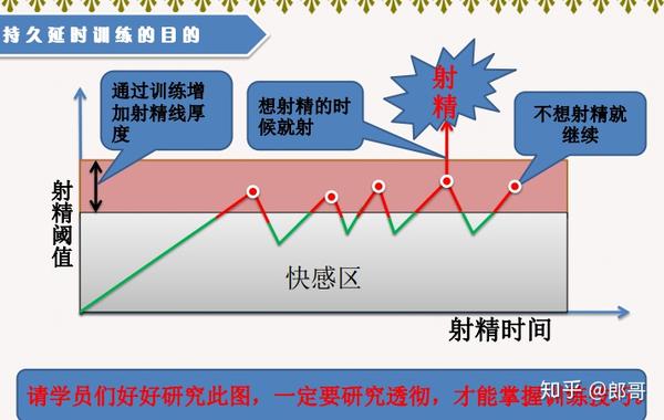 早泄延时持久力锻炼,首先要明白训练原理!