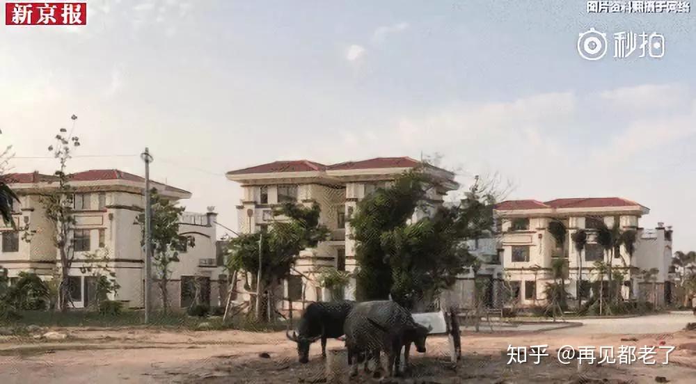 陈生坦言,为了捐赠别墅的事情,他最近两年都没有回乡过年.