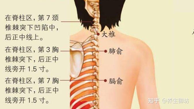 大椎穴可以说是治疗感冒的第一要穴为什么呢