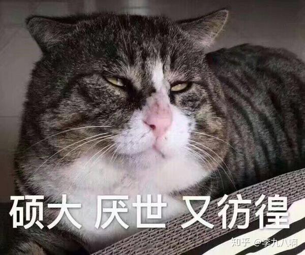你见过令人愉悦的最高级秀恩爱方式是什么样的?